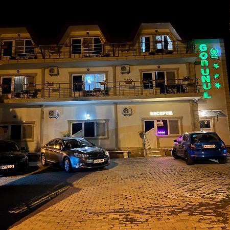 Hotel Gorunul Hunedoara Exteriör bild